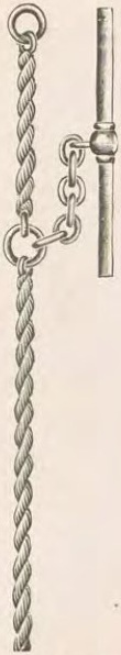 Catalog evidence for Chain / fob · No. 2818