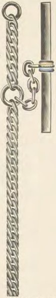 Catalog evidence for Chain / fob · No. 2815