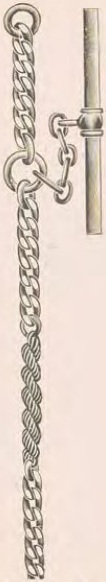 Catalog evidence for Chain / fob · No. 2819