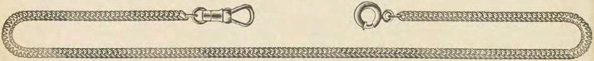 Catalog evidence for Chain / fob · No. 2886