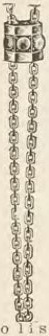 Catalog evidence for Chain / fob · No. 2958