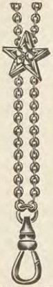 Catalog evidence for Chain / fob · No. 3000