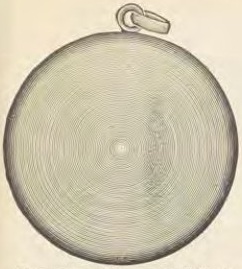 Catalog evidence for Locket · No. 3019