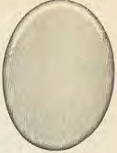 Catalog evidence for Locket · No. 3122