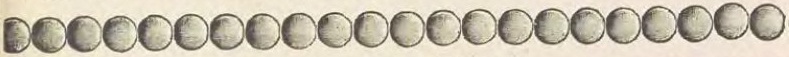Catalog evidence for Chain / fob · No. 3498