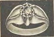 Catalog evidence for Ring · No. 3859