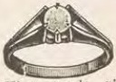 Catalog evidence for Ring · No. 3922