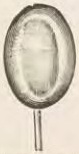 Catalog evidence for Miscellaneous / source group · No. 4227