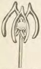 Catalog evidence for Miscellaneous / source group · No. 4287