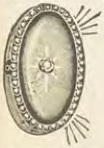 Catalog evidence for Ring · No. 4385