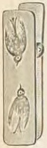Catalog evidence for Ring · No. 4392