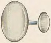 Catalog evidence for Miscellaneous / source group · No. 4504