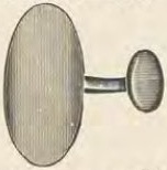 Catalog evidence for Miscellaneous / source group · No. 4540