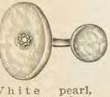 Source illustration