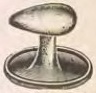 Catalog evidence for Miscellaneous / source group · No. 4659