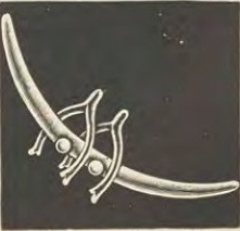 Source illustration
