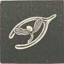 Catalog evidence for Miscellaneous / source group · No. 4804