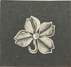 Catalog evidence for Miscellaneous / source group · No. 4803