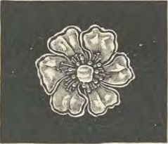 Catalog evidence for Miscellaneous / source group · No. 4810