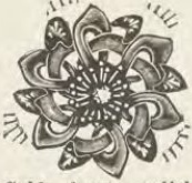 Catalog evidence for Brooch / pendant · No. 4886