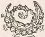 Catalog evidence for Brooch / pendant · No. 4911