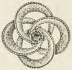 Catalog evidence for Brooch / pendant · No. 4949