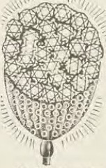 Catalog evidence for Miscellaneous / source group · No. 5333