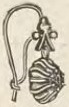 Catalog evidence for Earrings · No. 5385