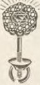 Catalog evidence for Earrings · No. 5347