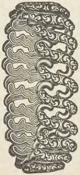 Catalog evidence for Bracelet · No. 5468
