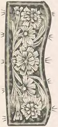 Catalog evidence for Miscellaneous / source group · No. 5546