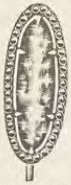 Catalog evidence for Miscellaneous / source group · No. 5595