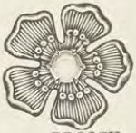 Catalog evidence for Miscellaneous / source group · No. 5586