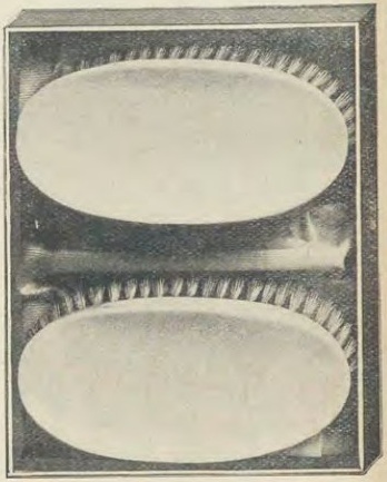Catalog evidence for Miscellaneous / source group · No. i698