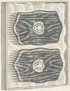 Catalog evidence for Miscellaneous / source group · No. 6969