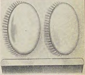 Catalog evidence for Miscellaneous / source group · No. 6975