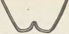Catalog evidence for Miscellaneous / source group · No. 7234