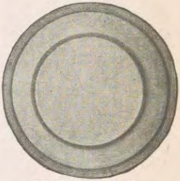 Catalog evidence for Miscellaneous / source group · No. 25028