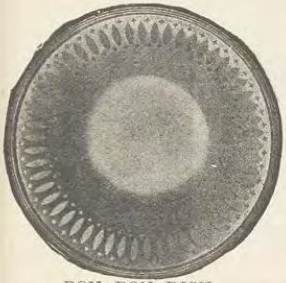 Catalog evidence for Miscellaneous / source group · No. 25026
