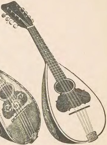 Catalog evidence for Mandolin · No. 751314