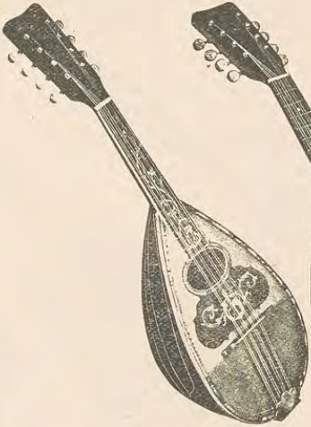 Catalog evidence for Mandolin · No. 75132