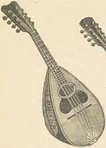 Catalog evidence for Mandolin · No. 75130