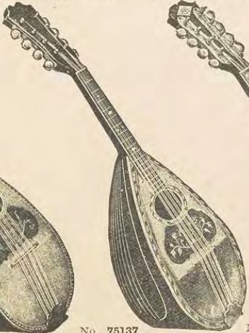 Catalog evidence for Mandolin · No. 75137