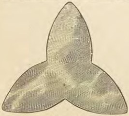 Catalog evidence for Miscellaneous / source group · No. 75190