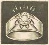 Catalog evidence for Flat Belcher diamond ring · No. 560