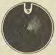 Catalog evidence for Earring covers · No. 30