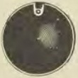 Catalog evidence for Earring covers · No. 29