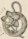 Catalog evidence for Diamond earrings · No. 39
