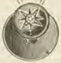 Catalog evidence for Diamond collar button · No. 74