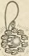 Source illustration